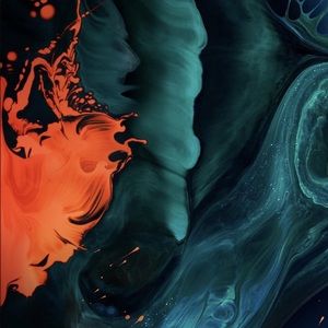 Meet your Posher, Dylan